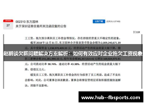 赵鹏谈欠薪问题解决方案解析：如何有效应对企业拖欠工资现象